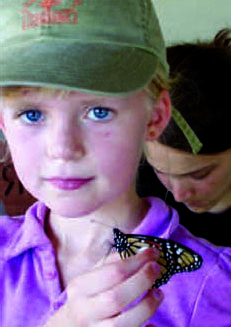 Kid holding butterfly