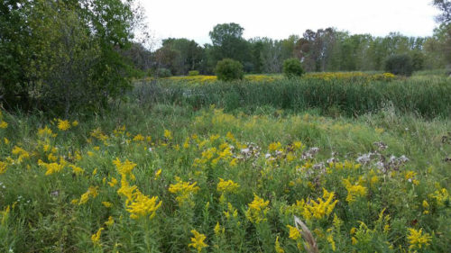 Ida Bay Preserve at Big Creek